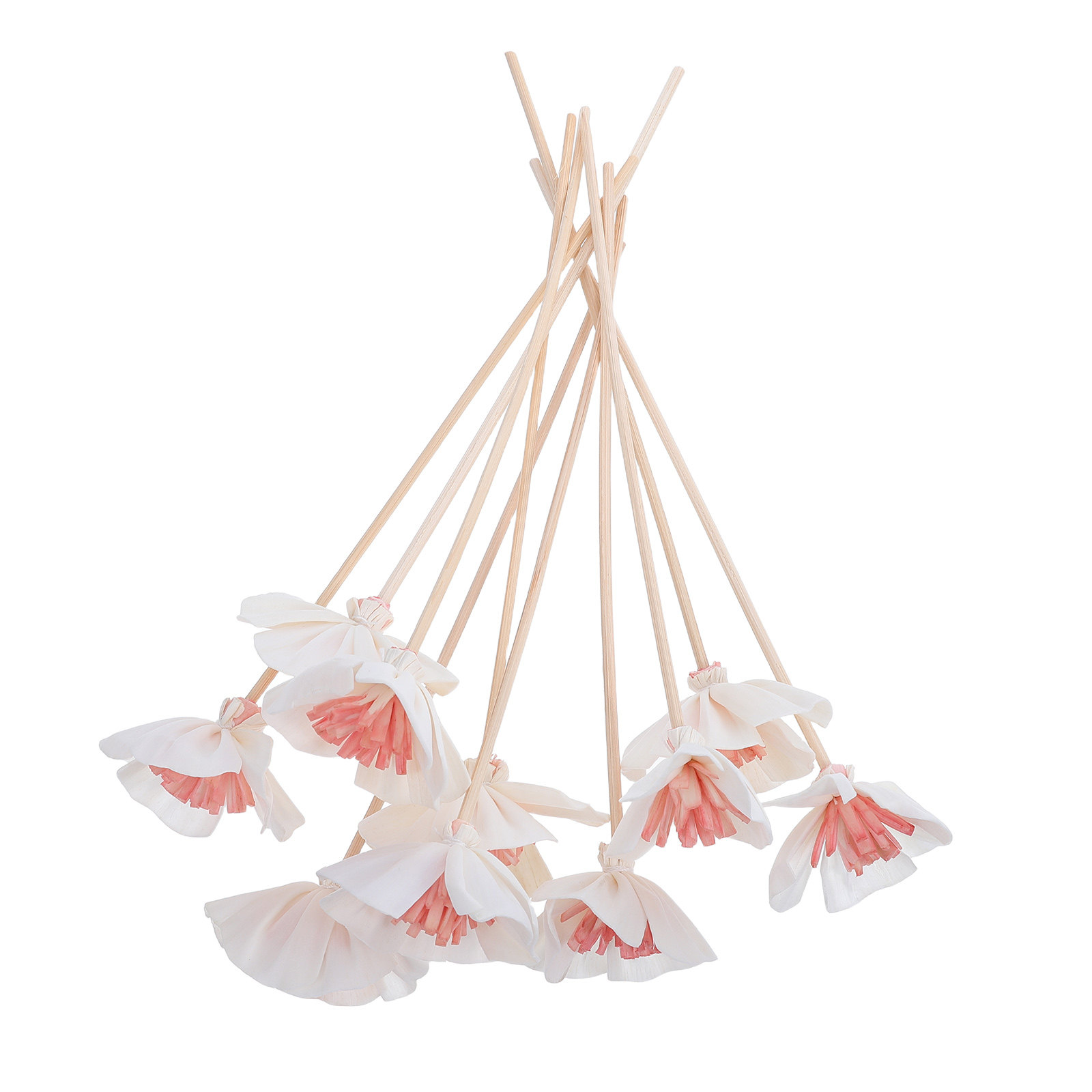 Home And You Fragrance Diffuser - 10 Stück Diffusorstäbchen für ätherische Öle,