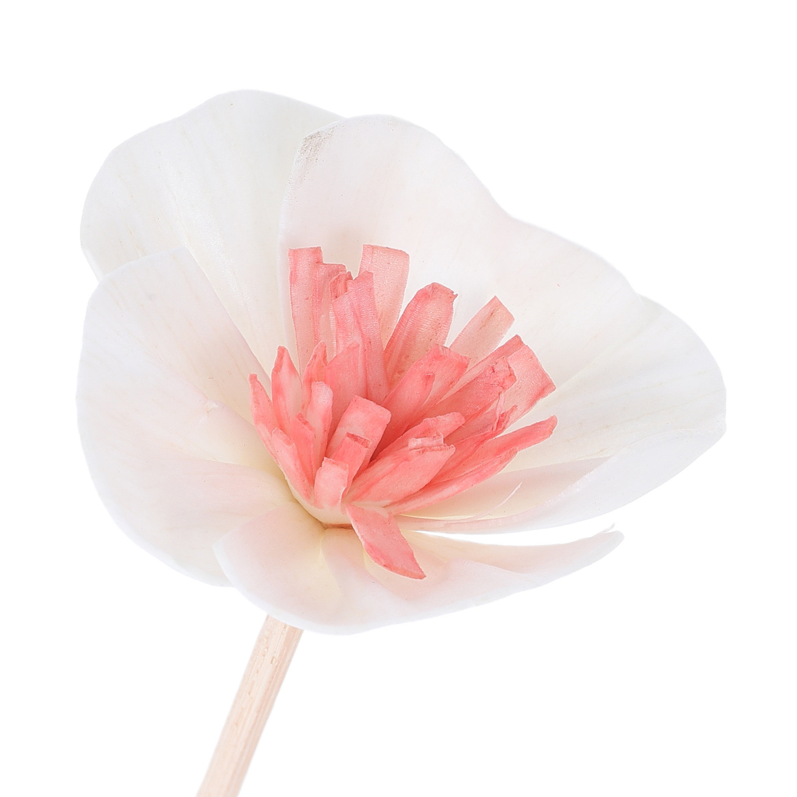 10 Stück Diffusorstäbchen für  – Home And You Fragrance Diffuser Bewertung und Preis