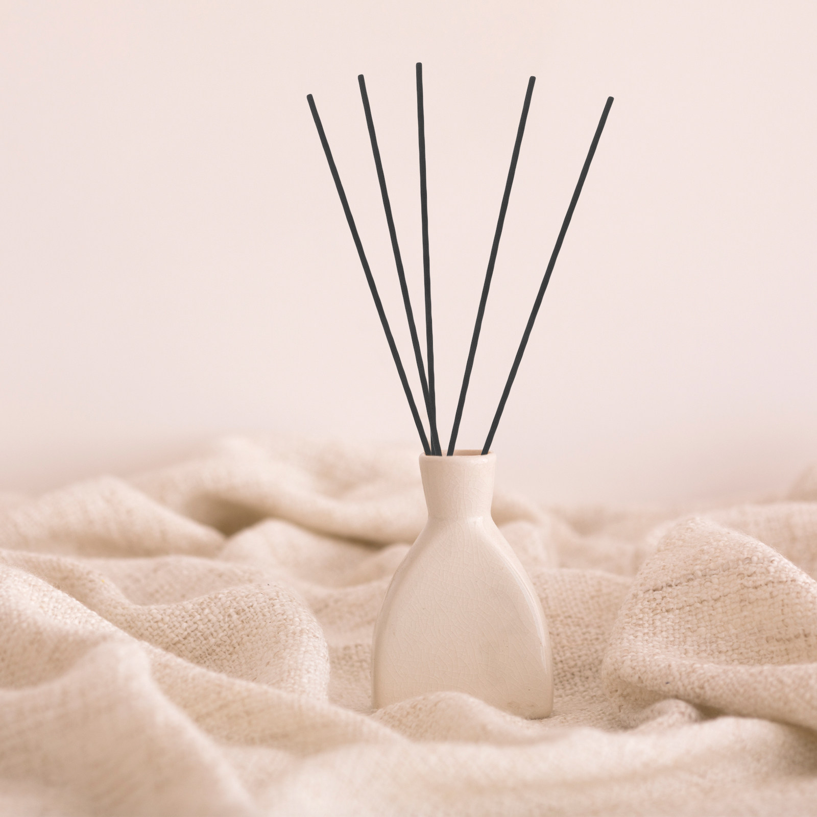100 Stück Faser-Duftdiffusor-S – Home And You Fragrance Diffuser Bewertung und Preis