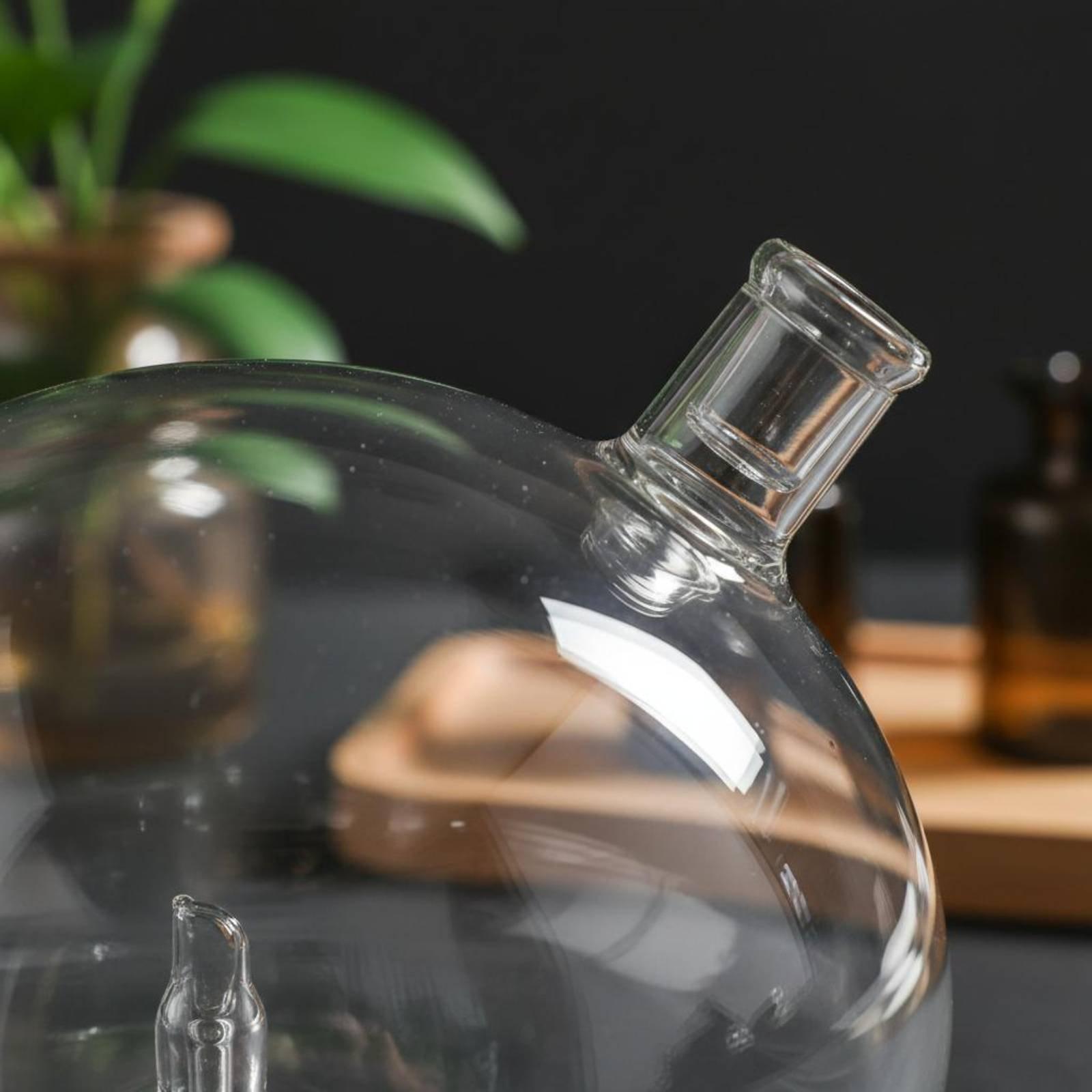Diffusorflasche Universell Pas – Home And You Fragrance Diffuser Bewertung und Preis